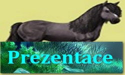 Prezentace vikča