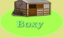 Boxy andas