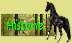 historie miki