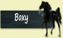 boxy jc wer