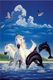 konik4